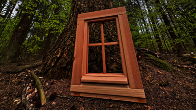 Nachhaltige Fensterfertigung mit heimischem Holz