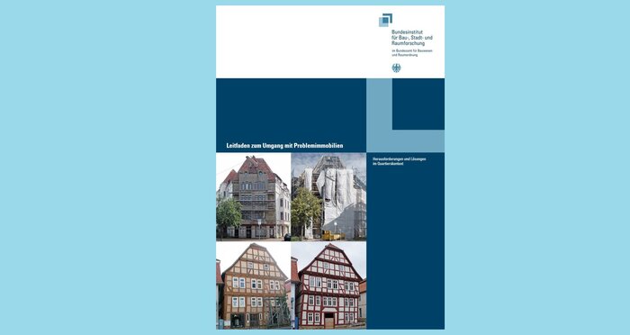 difu_problemimmobilien-cover_blau.jpg