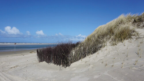 CoastAdapt: Nachhaltiger Küstenschutz für Niedersachsen