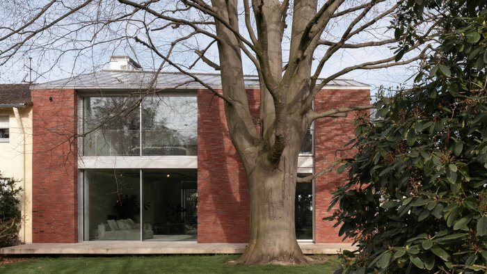 Alte Blutbuche prägt Architektur: Neues Einfamilienhaus in Hamburg