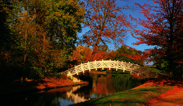 Brücke im Schlosspark Wörlitz, 1776, Friedrich Wilhelm Endmannsdorf nach Plänen von Palladio