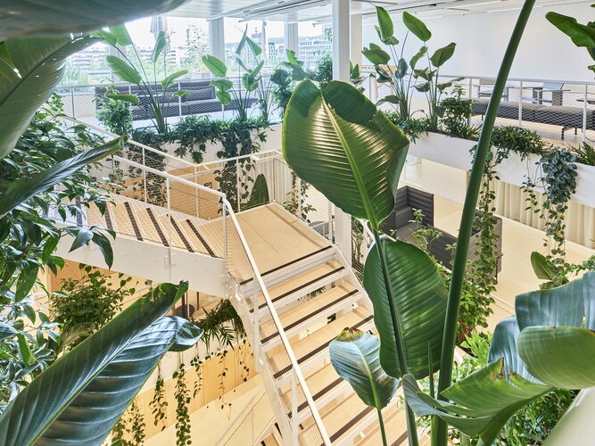 Implenia connect in Zürich: BuGG-Innenraumbegrünung des Jahres 2022, offenes mehrstöckiges Gebäude mit cremefarbenem Boden, weißen Geländern und zahlreichen grünen Pflanzen