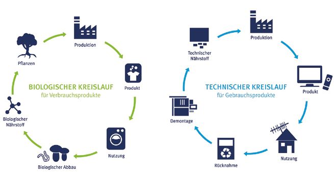 Cradle to Cradle: Grundlage einer Kreislaufwirtschaft