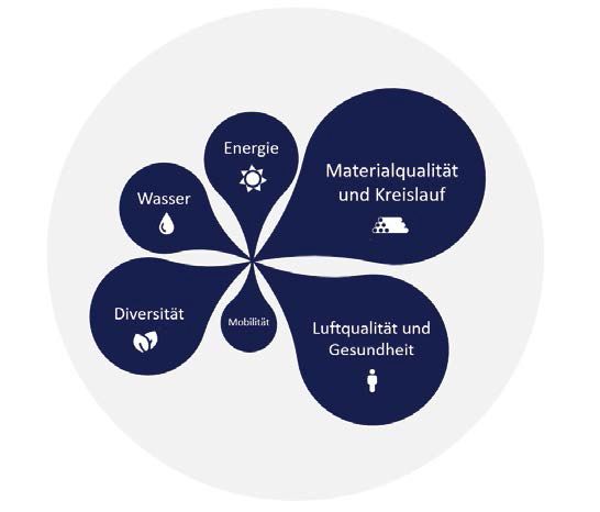 Vereinfachte Darstellung der Gesamtkonzeptentwicklung