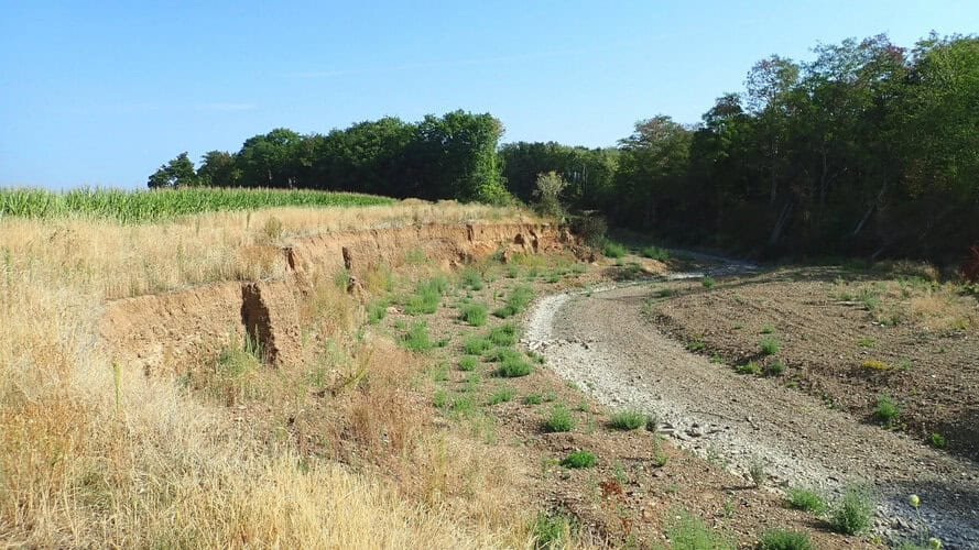 Archäologische Fundstellen benötigen individuelle Hochwasserschutzkonzepte Archäologische Fundstellen benötigen individuelle Hochwasserschutzkonzepte